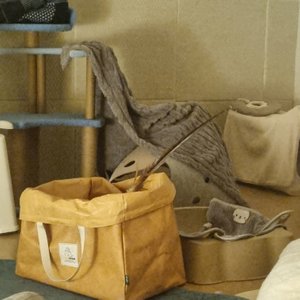 베스트 후기 이미지
