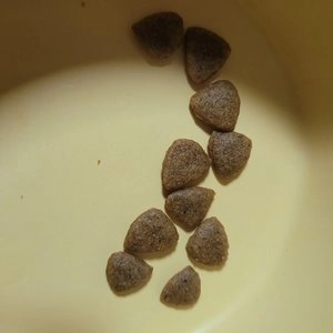 [사료샘플] 로얄캐닌 독 미니 인도어 어덜트 50g 소화기 건강 베스트 후기 이미지