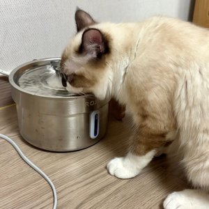 베스트 후기 이미지