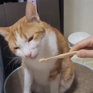 베스트 후기 이미지