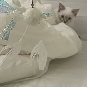 베스트 후기 이미지