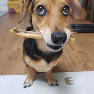 베스트 후기 이미지