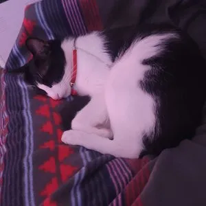 베스트 후기 이미지