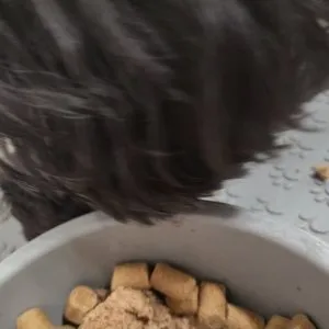 베스트 후기 이미지