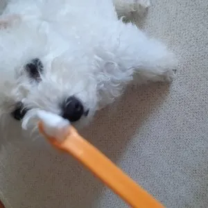 베스트 후기 이미지