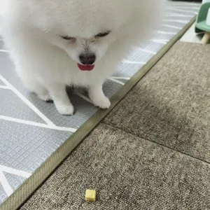 베스트 후기 이미지