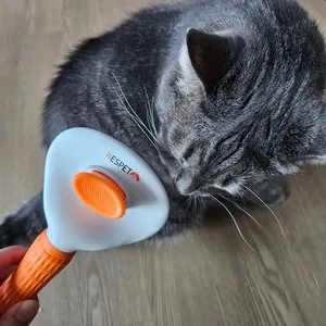 베스트 후기 이미지