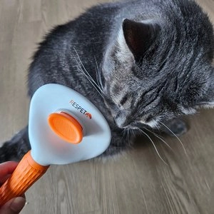 리스펫 올인원 더블 브러쉬 베스트 후기 이미지