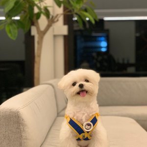 베스트 후기 이미지