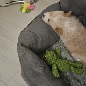 베스트 후기 이미지