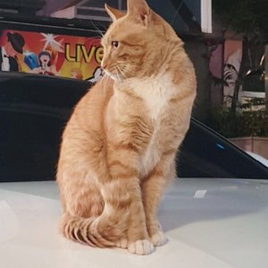 베스트 후기 이미지