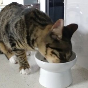 베스트 후기 이미지