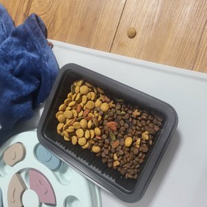 베스트 후기 이미지