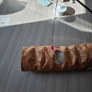 베스트 후기 이미지