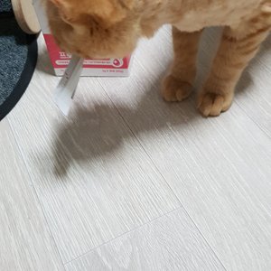 베스트 후기 이미지
