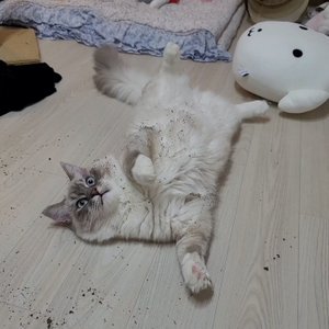 베스트 후기 이미지