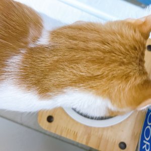 베스트 후기 이미지