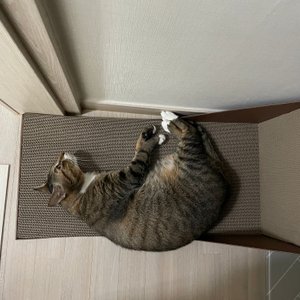 베스트 후기 이미지