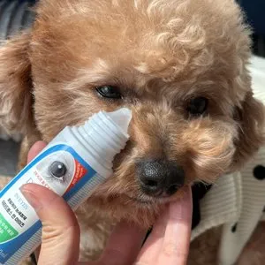 베스트 후기 이미지