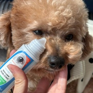 메이웰 닥터드롭스 눈세정제 60ml 베스트 후기 이미지