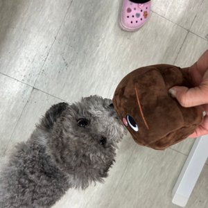 베스트 후기 이미지