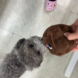 7번버스 겉바속촉 까눌레 바스락 노즈워크 베스트 후기 이미지