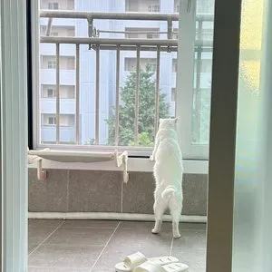 베스트 후기 이미지