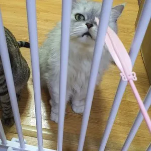 베스트 후기 이미지