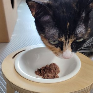 베스트 후기 이미지