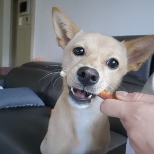 베스트 후기 이미지
