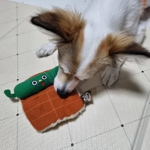 베스트 후기 이미지