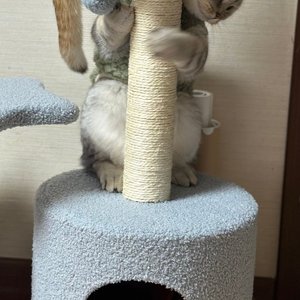 베스트 후기 이미지