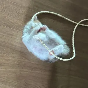 베스트 후기 이미지