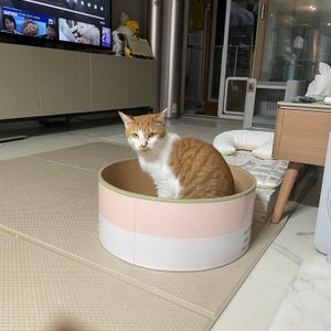 베스트 후기 이미지