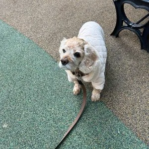 베스트 후기 이미지