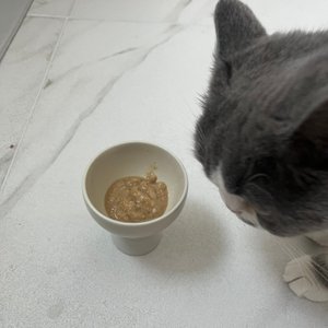 베스트 후기 이미지