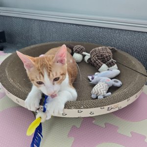 베스트 후기 이미지