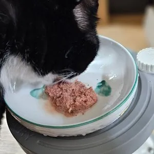 베스트 후기 이미지