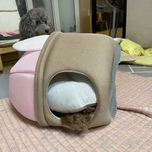 베스트 후기 이미지