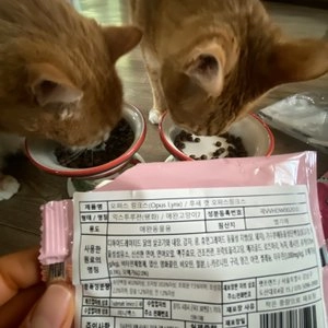 후새 캣 오퍼스링크스 7kg 베스트 후기 이미지