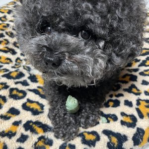 베스트 후기 이미지