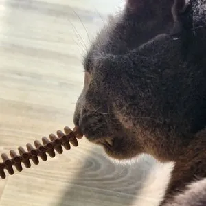 베스트 후기 이미지