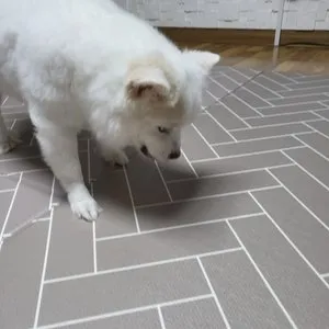 베스트 후기 이미지