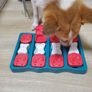 니나오토슨 브릭 레벨2 베스트 후기 이미지