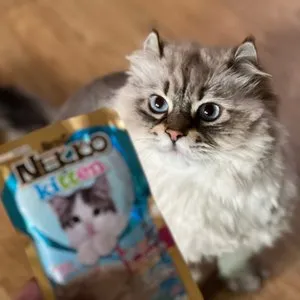 베스트 후기 이미지