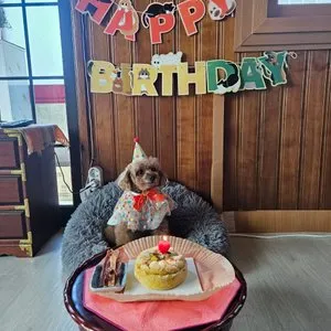 베스트 후기 이미지