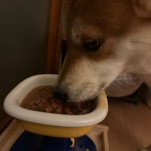 베스트 후기 이미지
