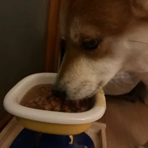 베스트 후기 이미지