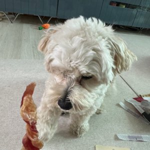 베스트 후기 이미지