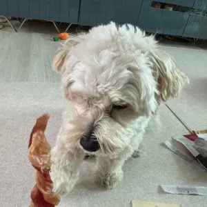 베스트 후기 이미지